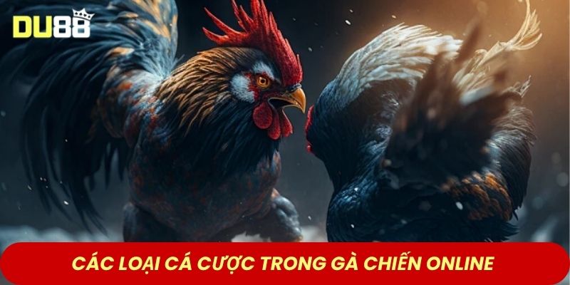 Các loại cá cược trong gà chiến online 