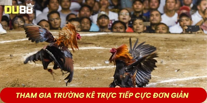 Tham gia trường kê trực tiếp cực đơn giản 