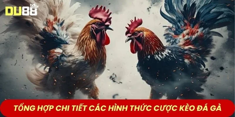 Tổng hợp chi tiết các hình thức cược kèo đá gà